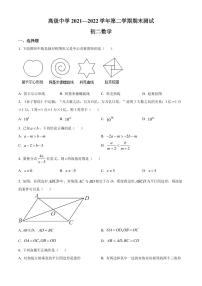 广东省深圳市高级中学2021-2022学年八年级下学期期末考试数学试题（原卷及解析版）