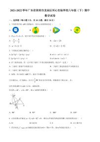 广东省深圳市龙岗区同心实验学校2021-2022学年八年级下学期期中考试数学试题（原卷及解析版）