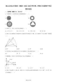 广东省深圳市南山区南山外国语（集团）2022-2023学年八年级下学期期中数学试卷（原卷及解析版）