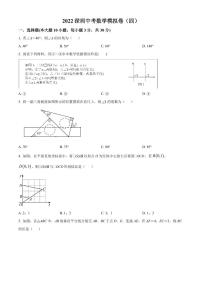 2022年广东省深圳市龙岗区金稻田学校中考数学模拟题（原卷及解析版）