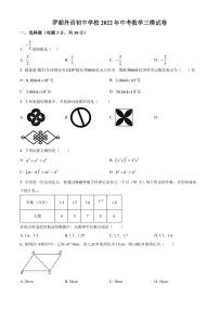 2022年广东省深圳市罗湖区罗湖外语初中学校中考数学三模试卷（原卷及解析版）