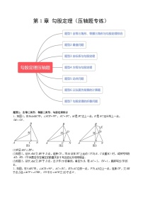 【单元压轴题专练】（北师大版）2023-2024学年八年级数学上册  第1章 勾股定理（压轴题专练）