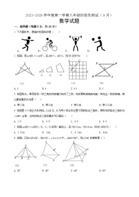 江苏省沭阳南洋学校、实验中学2023-2024学年八年级上学期9月阶段性测试数学试卷