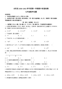 陕西省渭南市合阳县2020-2021学年七年级上学期期中数学试题