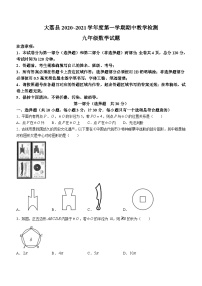 陕西省渭南市大荔县2020-2021学年九年级上学期期中数学试题