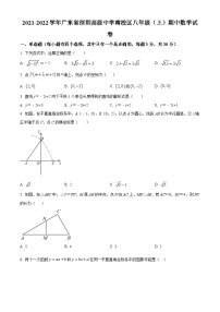 精品解析：广东省深圳高级中学南校区2021-2022学年八年级上学期期中数学试题