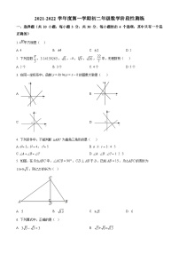 精品解析：广东省深圳市宝安区宝安中学（集团）2021-2022学年八年级上学期期中数学试题