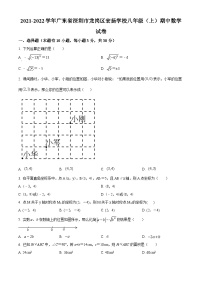 精品解析：广东省深圳市龙岗区宏扬学校2021-2022学年八年级上学期期中数学试卷