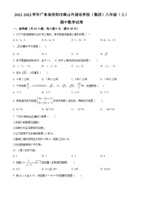 精品解析：广东省深圳市南山区南山外国语学校（集团）滨海学校2021-2022学年八年级上学期期中数学试题