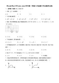 精品解析：广东省深圳市坪山区坪山中学2021-2022学年八年级上学期期中数学试题