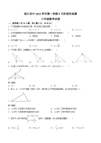 浙江省绍兴市诸暨市滨江初级中学2023-2024学年八年级上学期9月月考数学试题