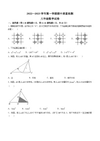 河北省邯郸市育华中学2022-2023+学年八年级上学期期中数学试题(无答案)