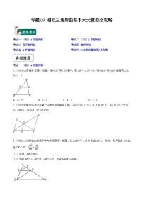 专题09 相似三角形的基本六大模型全攻略-【常考压轴题】2022-2023学年九年级数学下册压轴题攻略（苏科版）