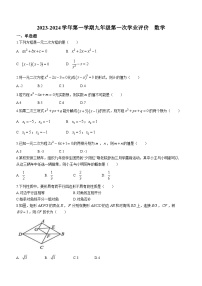 广东省佛山市顺德区拔萃实验学校2023-2024学年九年级上学期第一次月考数学试题