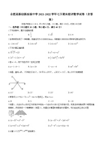 安徽省合肥市合肥高新创新实验中学2021-2022学年七年级下学期期末数学试题