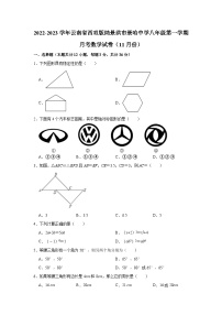 2022-2023学年云南省西双版纳景洪市景哈中学八年级（上）月考数学试卷（11月份）（含解析）