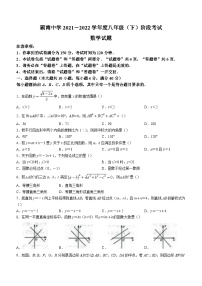 安徽省阜阳市颍州区颍南中学2021-2022学年八年级下学期月考数学试题(无答案)