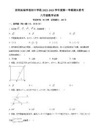 精品解析：广东省深圳实验学校初中学段2022-2023学年八年级上学期期末考试数学试卷