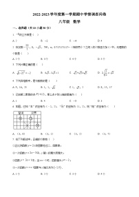 精品解析：广东省深圳市宝安区宝安中学、宝安外国语学校2022-2023学年八年级上学期期中考试数学试题