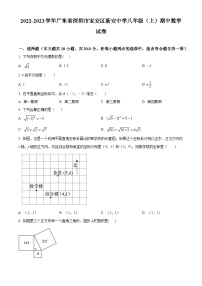 精品解析：广东省深圳市宝安区新安中学2022-2023学年八年级上学期期中考试数学试卷