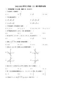 精品解析：广东省深圳市罗湖区2022-2023学年八年级上学期期中考试 数学试卷