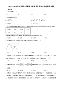 精品解析：广东省深圳市南山区2022-2023学年八年级上学期期末考试数学试卷