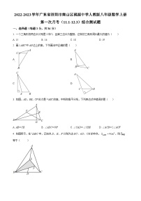 精品解析：广东省深圳市南山区桃源中学2022-2023学年八年级数学上学期第一次月考（11.1-12.3）综合测试题