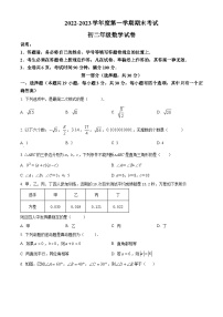 精品解析：广东省深圳市深圳中学初中部2022-2023学年八年级上学期期末考试数学试卷