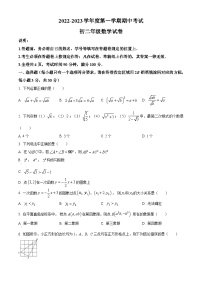 精品解析：广东省深圳市深圳中学联考2022—2023学年八年级上学期期中考试数学试题