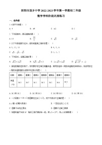 精品解析：广东省深圳市西乡中学2022-2023学年八年级上学期期中考试数学试卷