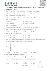 广东省深圳市龙岗区智民实验学校八年级（上）第一次月考数学试卷