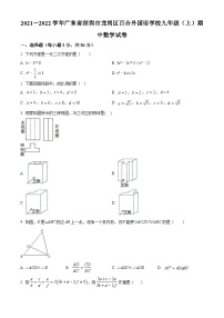 精品解析：广东省深圳市龙岗区百合外国语学校2021-2022学年九年级上学期期中数学试题