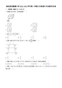 精品解析： 广东省深圳市南山实验教育集团2022-2023学年九年级上学期期中考试数学试卷