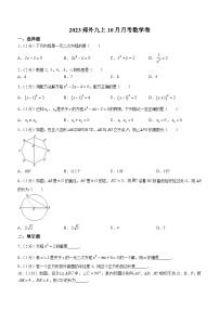 江苏省南京市秦淮区南京郑和外国语学校2023-2024学年九年级上学期10月月考数学试题(无答案)