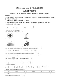 云南省红河哈尼族彝族自治州蒙自市2022-2023学年八年级下学期期末数学试题