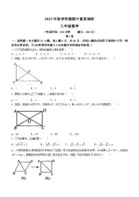 广西壮族自治区南宁市第三十九中学2022-2023学年八年级下学期期中数学试题(无答案)