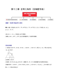 【期中单元压轴题专练】（人教版）2023-2024学年八年级数学上册单元 第十二章 全等三角形（测试卷）