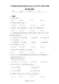 广西壮族自治区贺州市富川县2022-2023学年七年级下学期期中数学试题