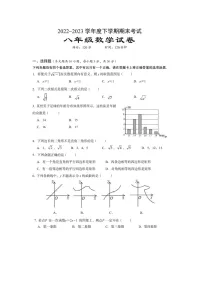 湖北省武汉市江岸区2022-2023学年八年级下学期期末考试数学试卷（含答案解析）