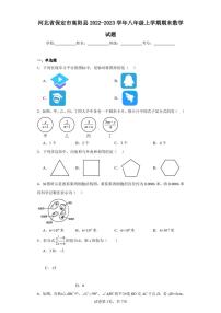 河北省保定市高阳县2022-2023学年八年级上学期期末数学试题