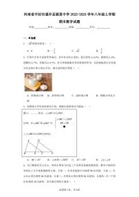 河南省开封市通许县丽星中学2022-2023学年八年级上学期期末数学试题