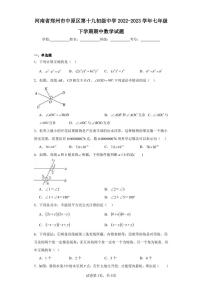 河南省郑州市中原区第十九初级中学2022-2023学年七年级下学期期中数学试题