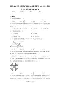 湖北省随州市曾都区府河镇中心学校等两校2022-2023学年九年级下学期月考数学试题