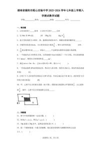 湖南省衡阳市船山实验中学2023-2024学年七年级上学期入学测试数学试题