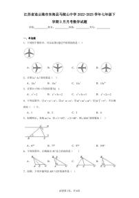 江苏省连云港市东海县马陵山中学2022-2023学年七年级下学期3月月考数学试题