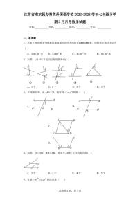 江苏省南京民办育英外国语学校2022-2023学年七年级下学期3月月考数学试题