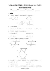 江苏省南京市建邺区金陵中学河西分校2022-2023学年七年级下学期期中数学试题