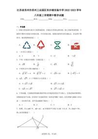 江苏省苏州市苏州工业园区东沙湖实验中学2022-2023学年八年级上学期期中数学试题