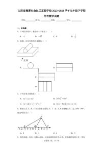 江西省鹰潭市余江区正源学校2022-2023学年九年级下学期月考数学试题