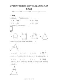 辽宁省铁岭市昌图县2022-2023学年九年级上学期11月月考数学试题